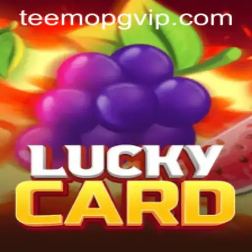 Explorando o Universo de LuckyCard: O Que Você Precisa Saber